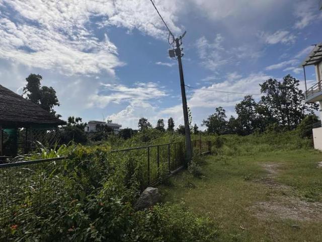 Land for sale in Bhauwala, Uttarakhand