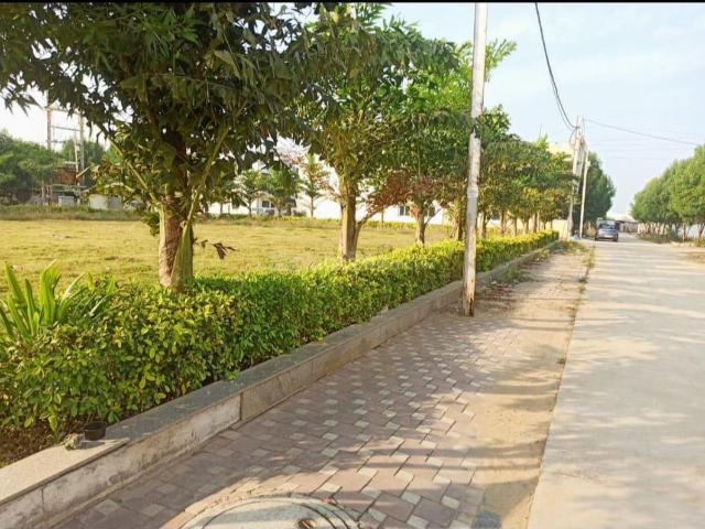 Land for sale in Madya