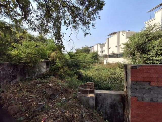 Land for sale in Tilakwada, Gujarat