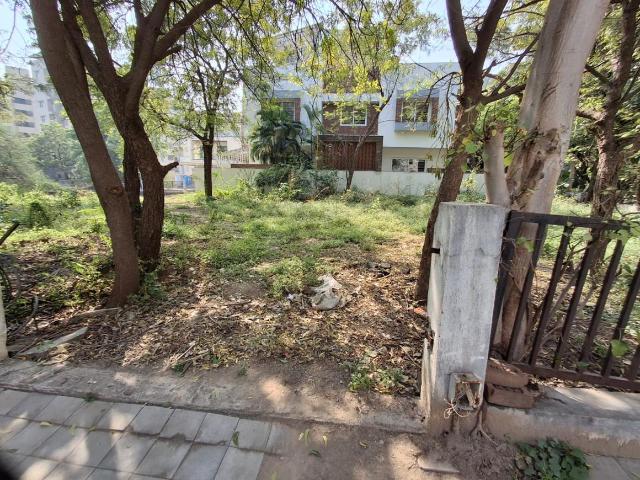 Land for sale in Tilakwada, Gujarat