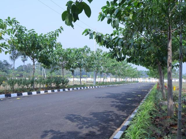 Land for sale in Andhra Pradesh