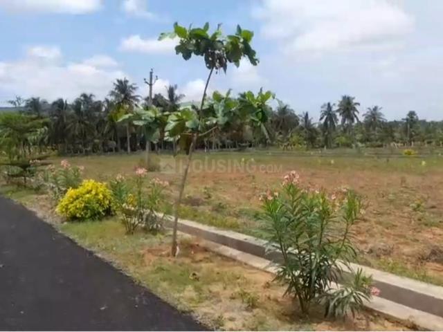 Land for sale in Andhra Pradesh