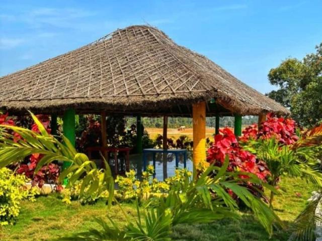 Land for sale in Bhogapuram, Andhra Pradesh