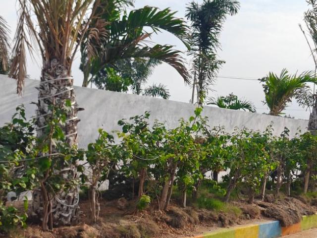 Land for sale in Bhogapuram, Vizianagaram