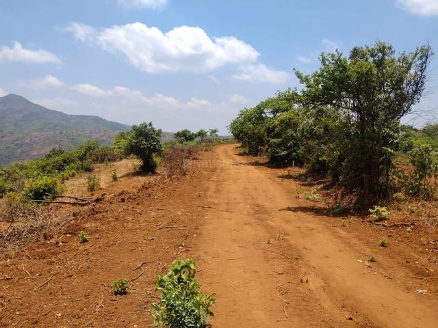 Land for sale in Bhor, Pune