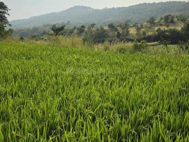 Land for sale in Bhor, Pune