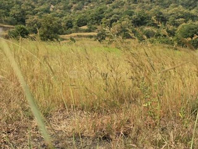 Land for sale in Bhor, Pune