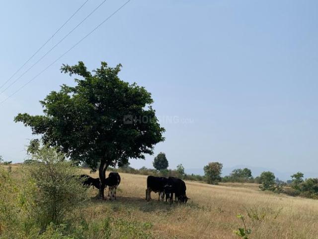 Land for sale in Bhor, Pune