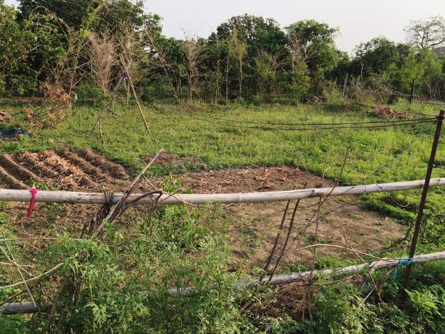 Land for sale in Bakarna, Uttarakhand