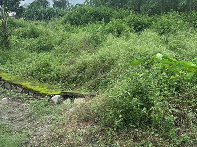 Land for sale in Bakarna, Uttarakhand