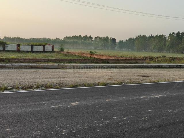Land for sale in Behat, Arunachal Pradesh