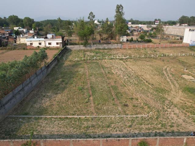 Land for sale in Behat, Arunachal Pradesh