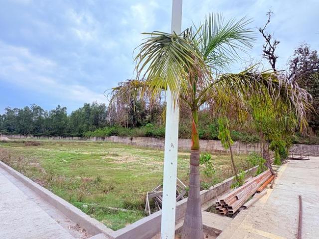 Land for sale in Behat, Arunachal Pradesh