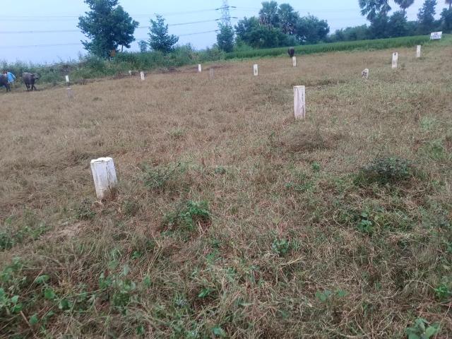 Land for sale in Bihar