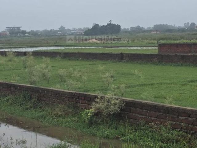 Land for sale in Bihar