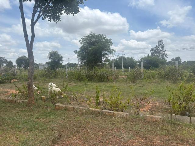 Land for sale in Devanahalli - Bangalore, Karnataka