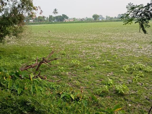 Land for sale in South 24 Parganas, Sonarpur