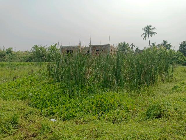 Land for sale in Bhagabanpur, South 24 Parganas