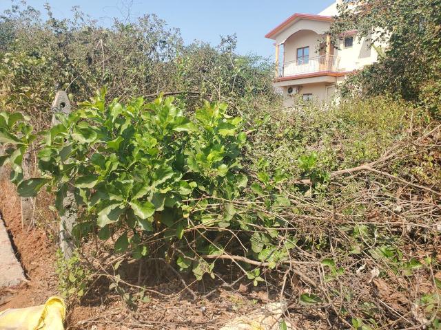 Land for sale in Goa