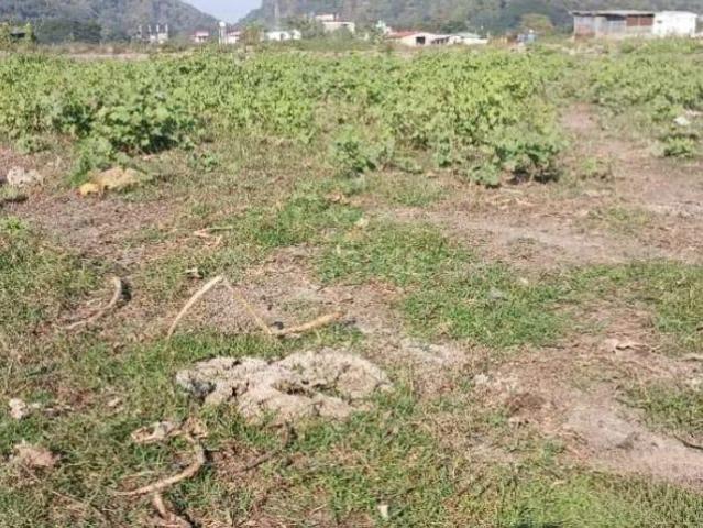 Land for sale in Gauhati, Assam