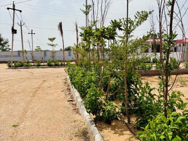 Land for sale in Pink City, Rajasthan
