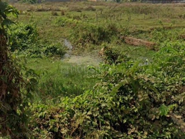 Land for sale in Bhubaneshwar