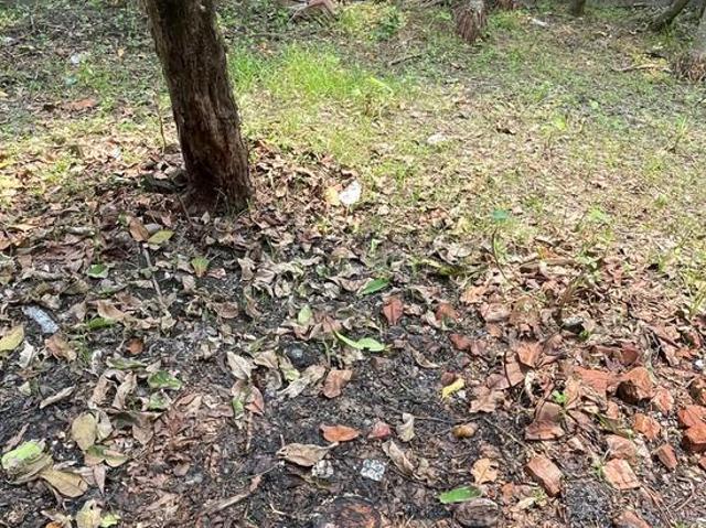 Land for sale in South 24 Parganas, West Bengal