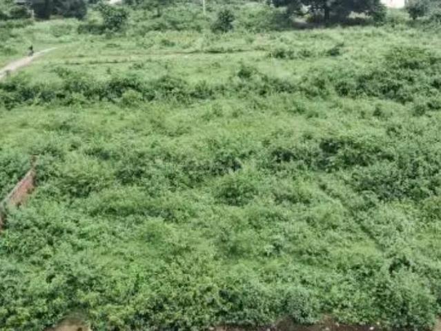 Land for sale in Kedarpur, Uttarakhand