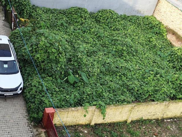 Land for sale in Dehradun