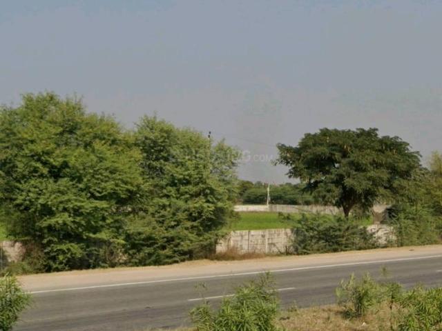 Land for sale in Chaksu, Rajasthan