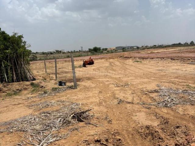 Land for sale in Chaksu, Rajasthan
