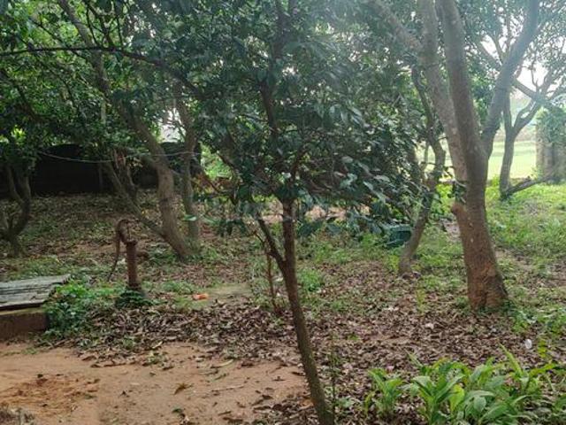 Land for sale in Chandaka