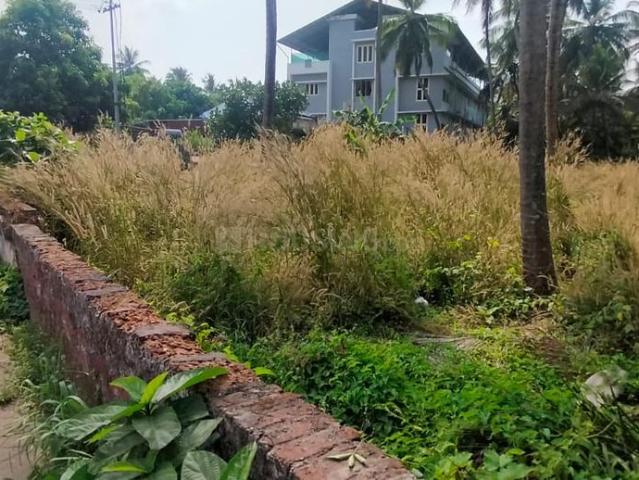 Land for sale in Thrissur, Kerala