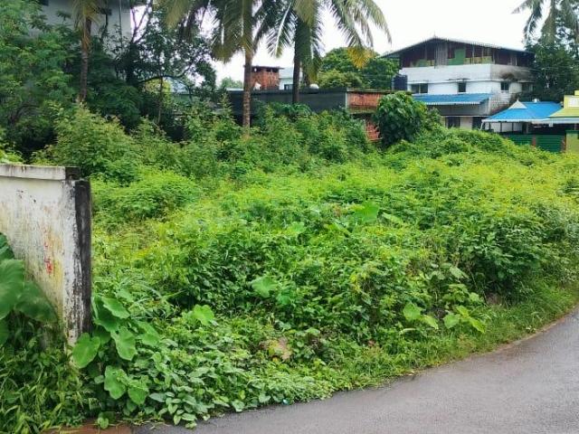 Land for sale in Thrissur, Kerala