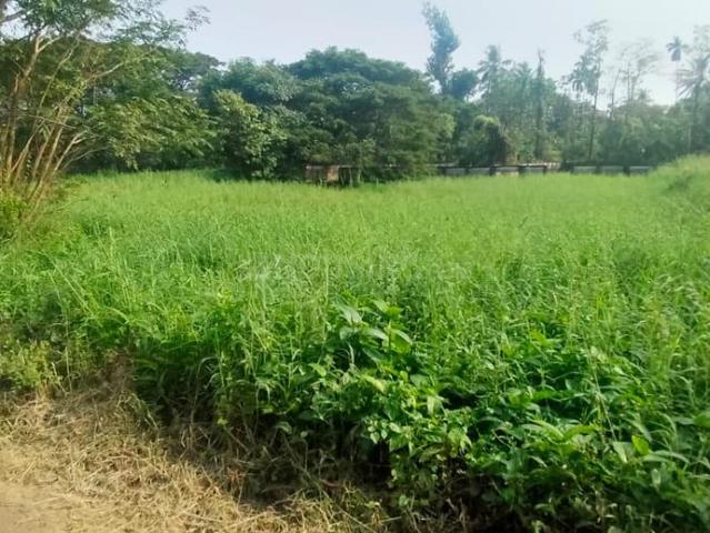 Land for sale in Thrissur, Kerala