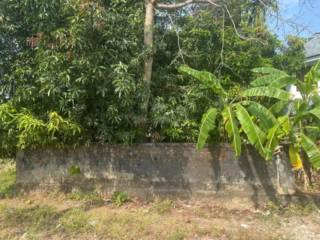Land for sale in Thrissur, Kerala