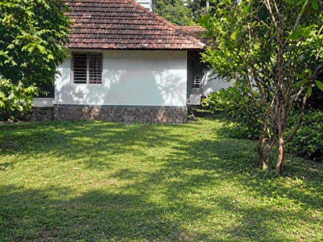 Land for sale in Chembukkavu, Thrissur