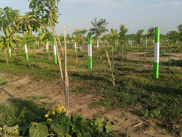 Land for sale in Tamil Nadu
