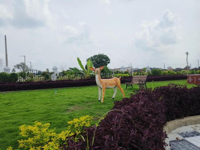 Land for sale in Telangana