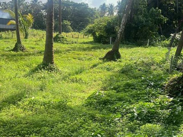Land for sale in Thrissur, Kerala