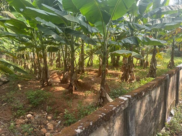 Land for sale in Thrissur, Kerala