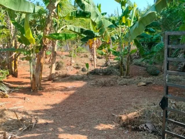 Land for sale in Thrissur, Kerala