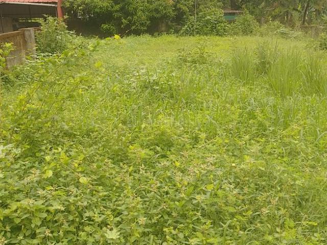 Land for sale in Thrissur, Kerala