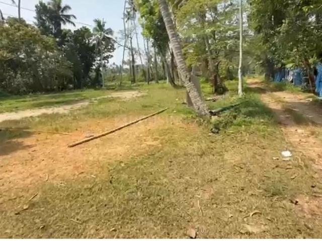 Land for sale in Cherthala, Alappuzha