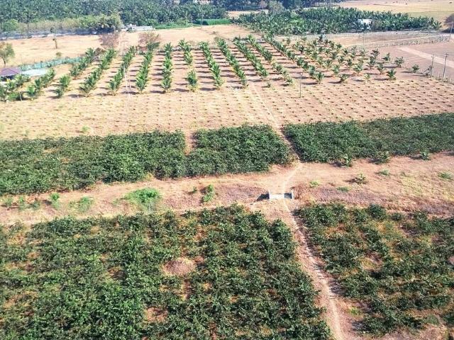 Land for sale in Chettipalayam, Tamil Nadu