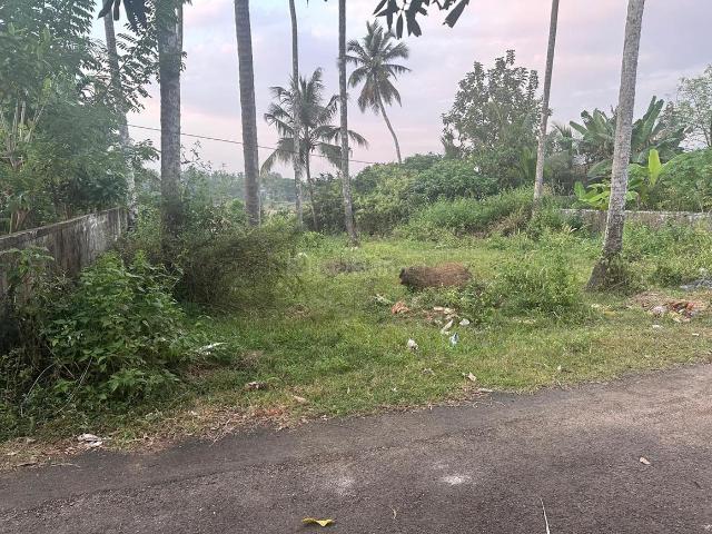 Land for sale in Thrissur, Kerala