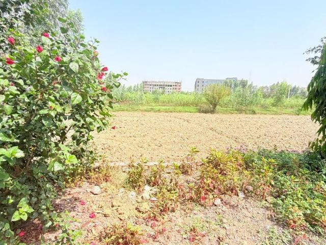 Land for sale in Chhata, Mathura