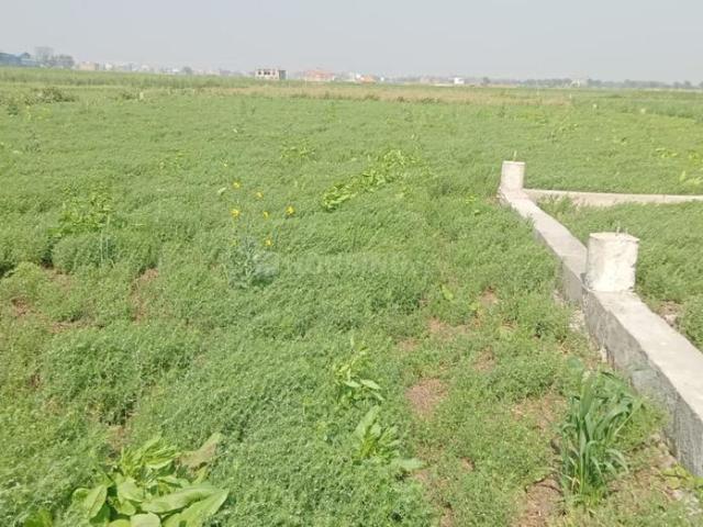 Land for sale in Bihar