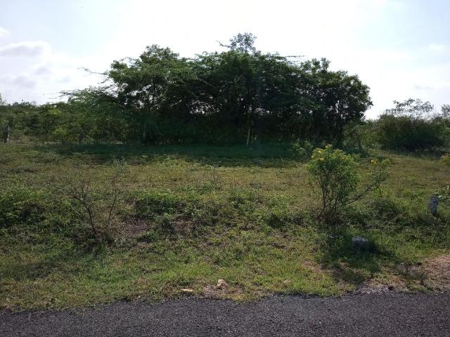 Land for sale in Ranga Reddy, Chilkur