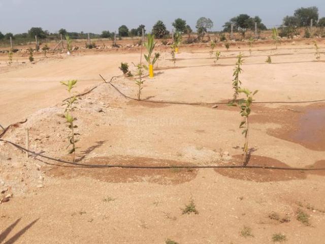 Land for sale in Chinthapally, Nalgonda